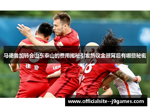 马德鲁加转会山东泰山的费用揭秘引发热议金额背后有哪些秘密